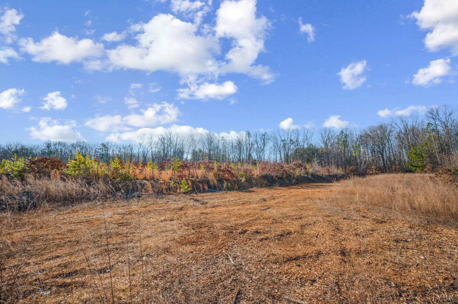 0 Evington Road Evington, VA 24550 - Photo 5 of 22 a view of patio yard and mountain