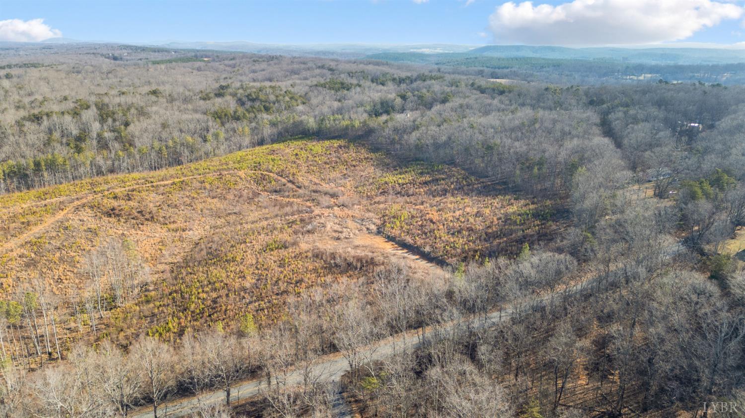 0 Evington Road Evington, VA 24550 - Photo 7 of 22 a view of a dry yard