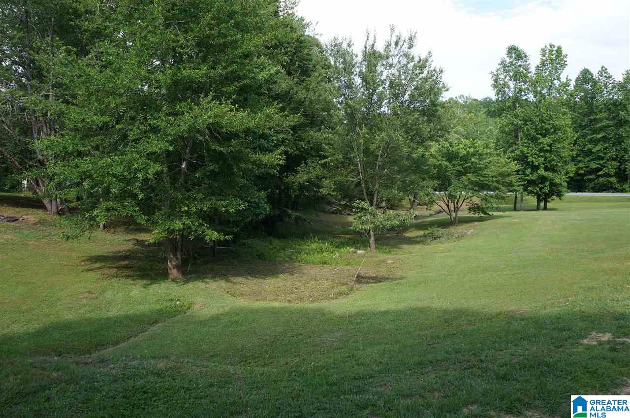 25355 Highway 9 Goodwater, AL 35072 - Photo 4 of 22