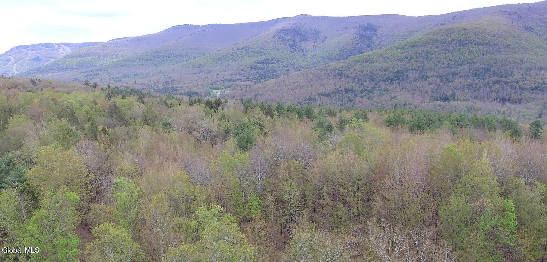 184 Cloos Road Hunter, NY 12442 - Photo 76 of 77 Screenshot (1052)