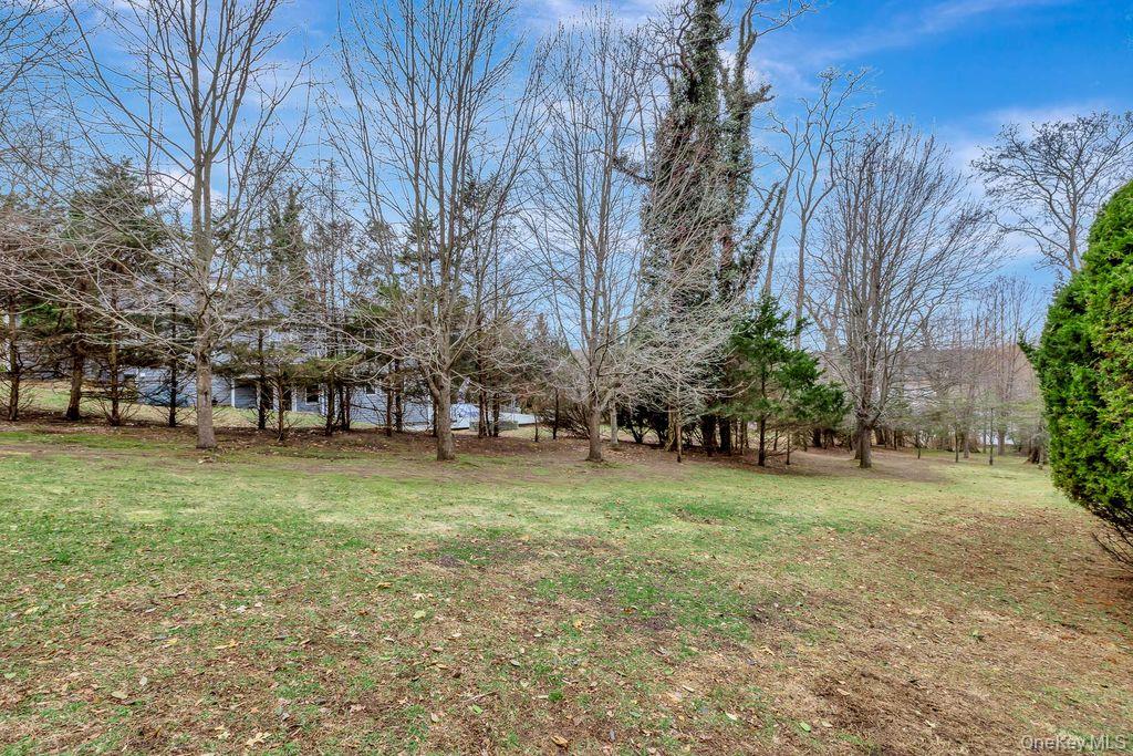 442 River Road Nissequogue, NY 11780 - Photo 18 of 20 Rear Yard