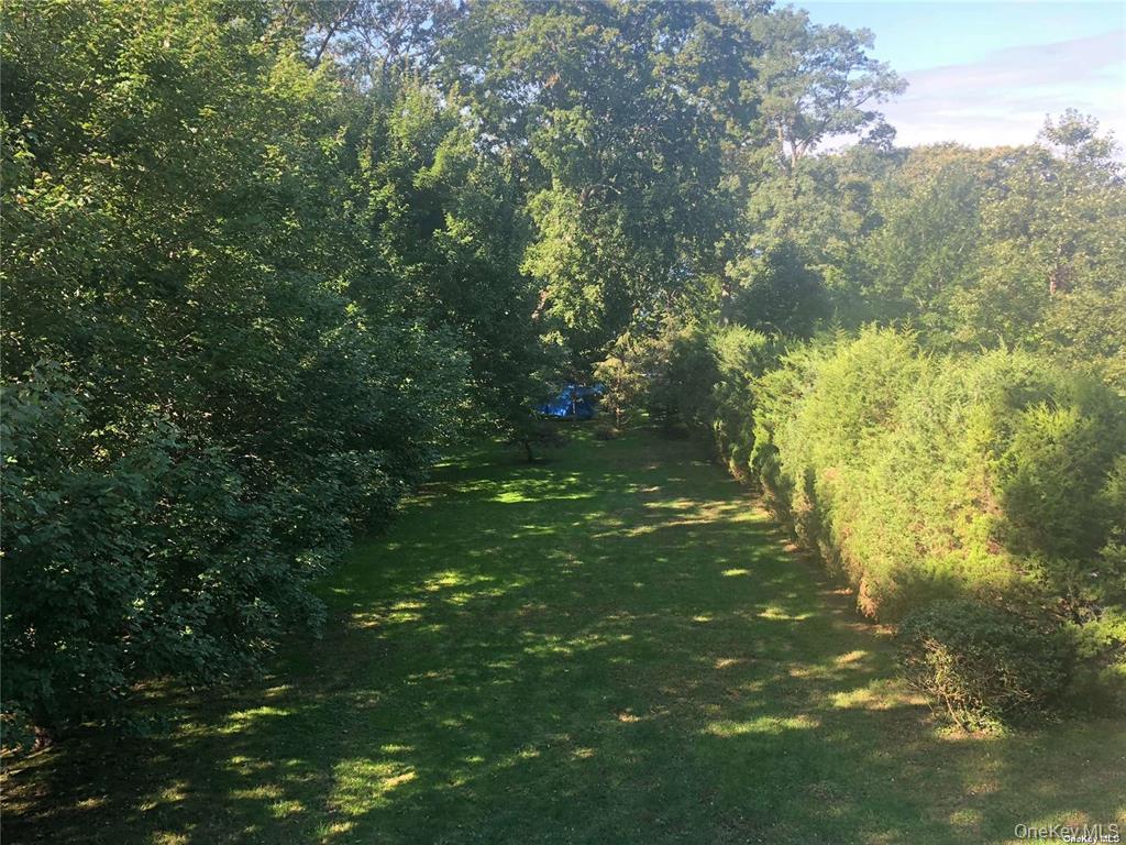 442 River Road Nissequogue, NY 11780 - Photo 19 of 20 Rear Yard in Summer