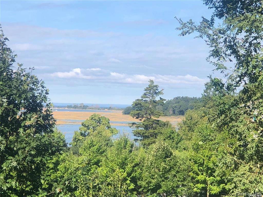 442 River Road Nissequogue, NY 11780 - Photo 20 of 20 View From Deck