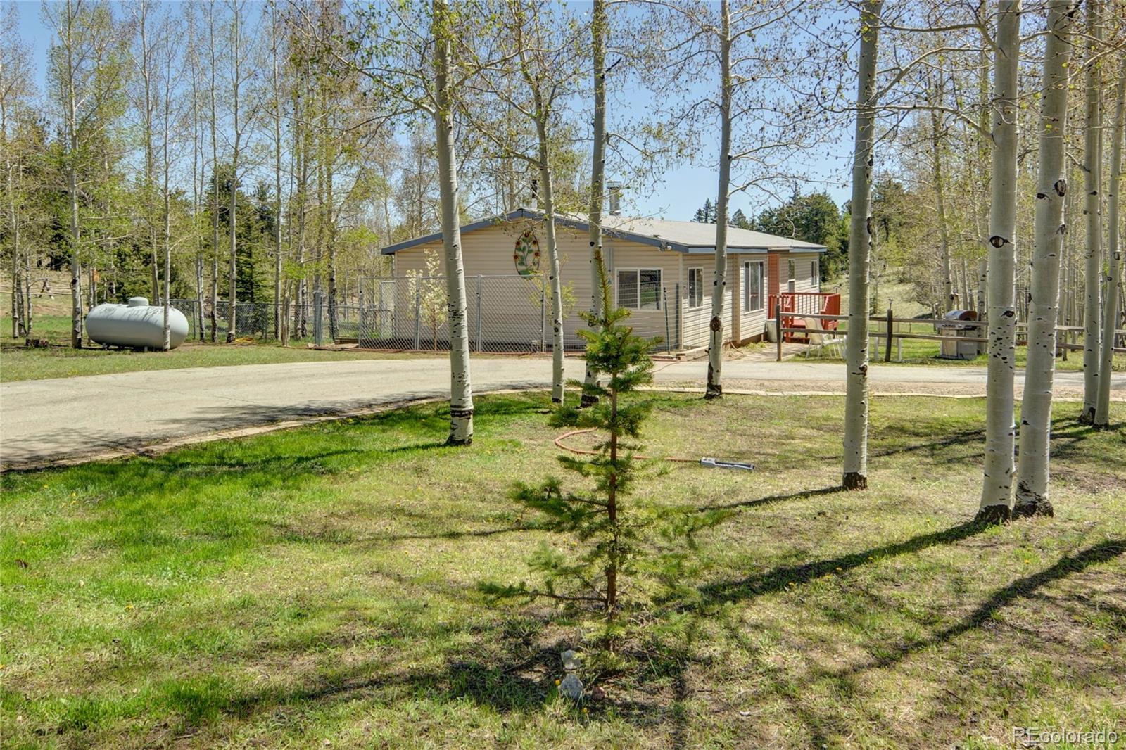 796 Singletree Road Hartsel, CO 80449 - Photo 3 of 40