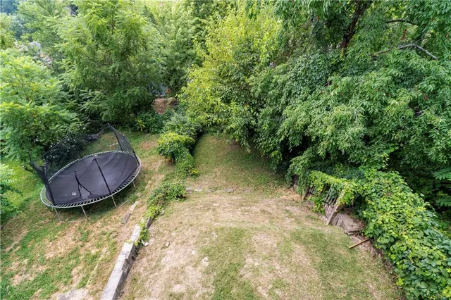 a view of a backyard with plants and a garden