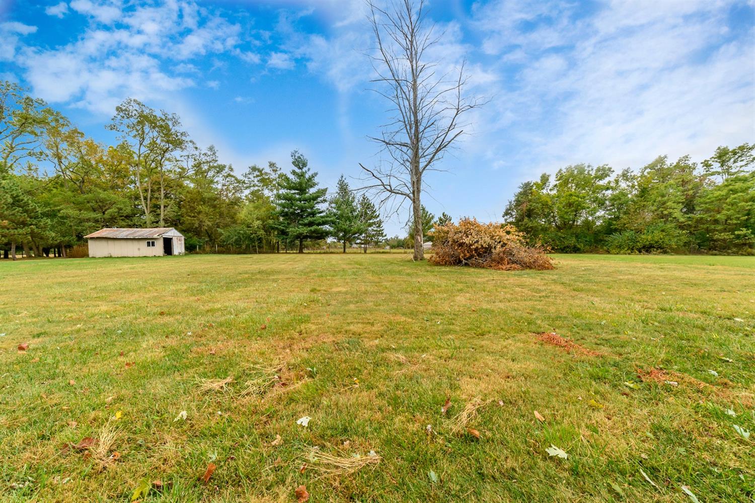 14017 Rummel Road Moores Hill, IN 47032 - Photo 6 of 27 Gallery Image 6
