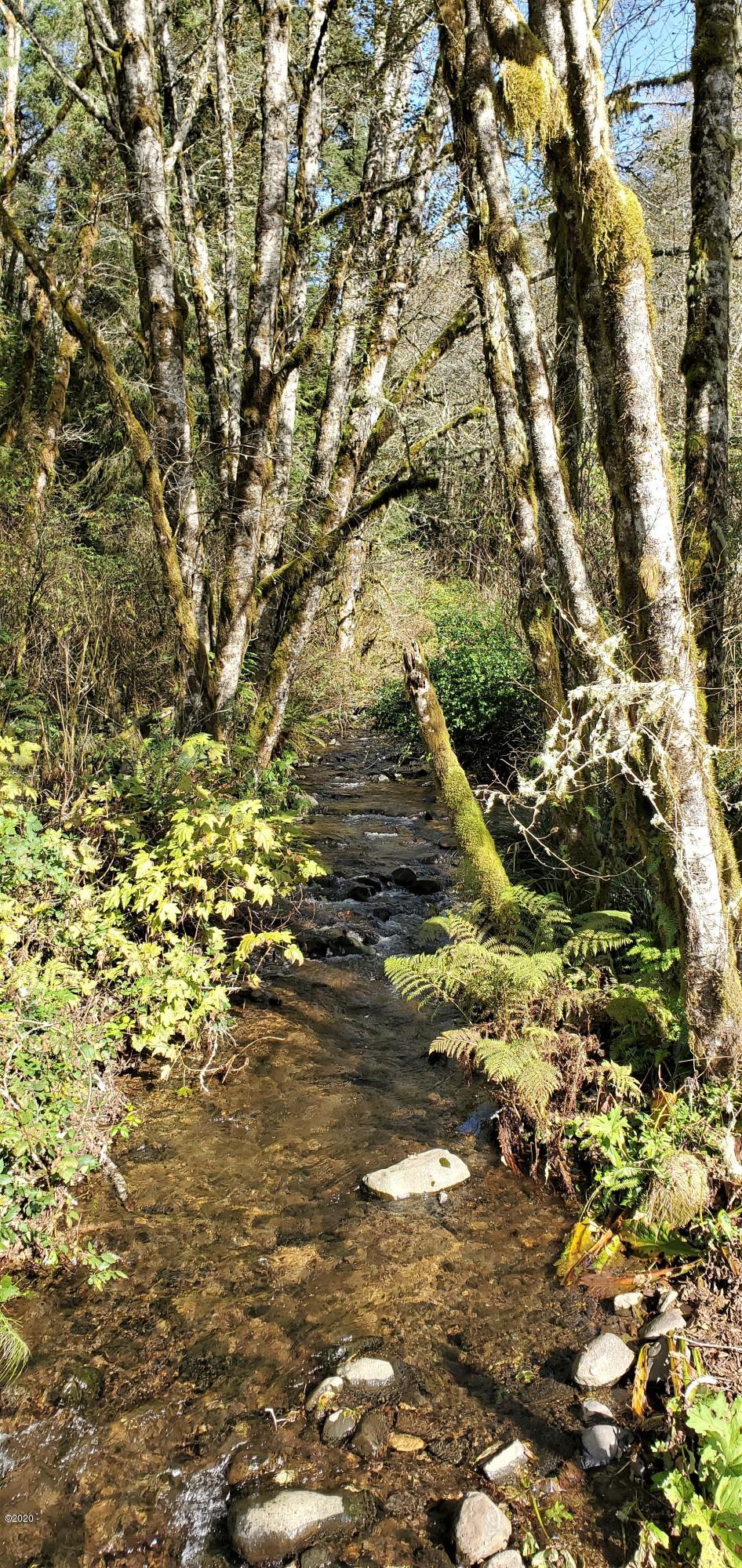 1201 Slab Creek Road Neskowin, OR 97149 - Photo 7 of 13 20201017_123545