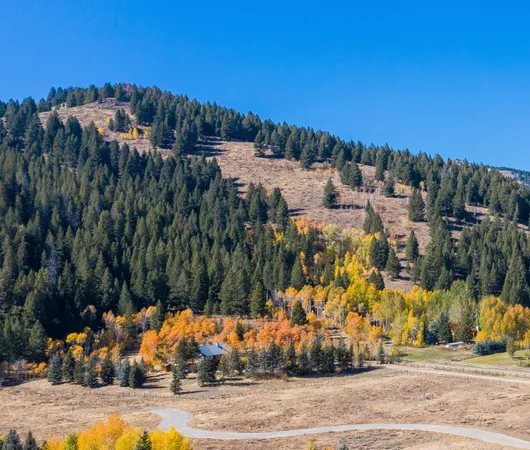$6,250,000 | 13552 Highway 75, Blaine County, ID 83340