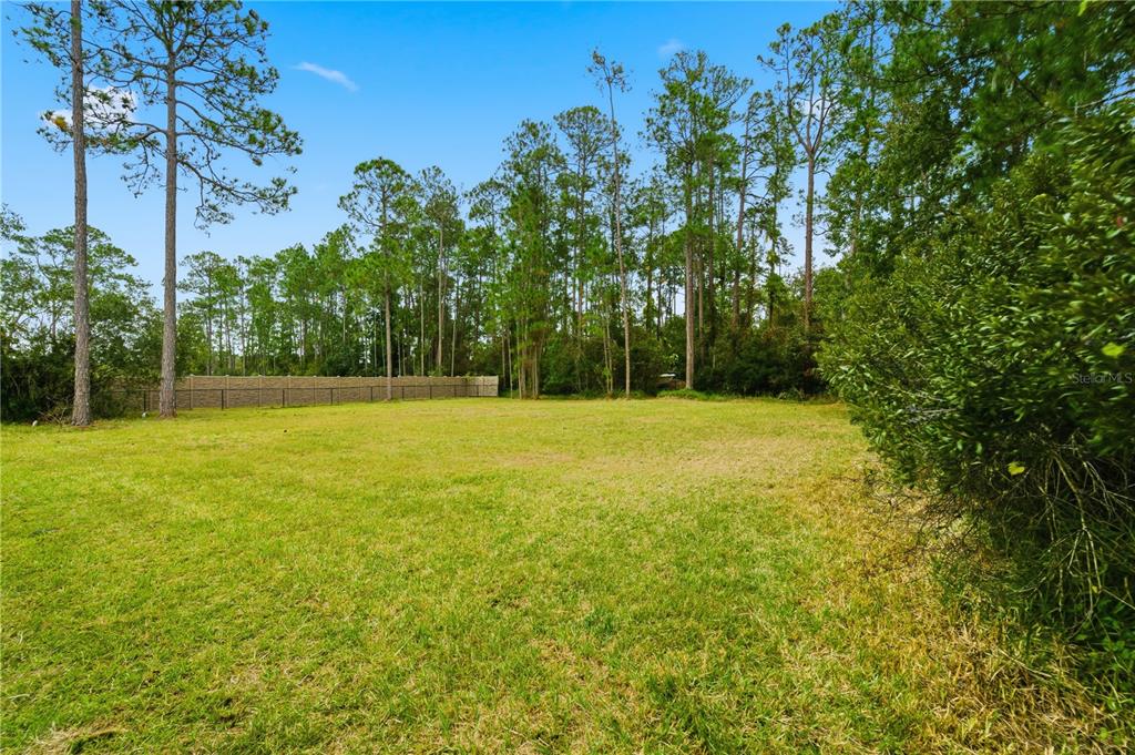 14728 Henson Road Orlando, FL 32832 - Photo 12 of 79