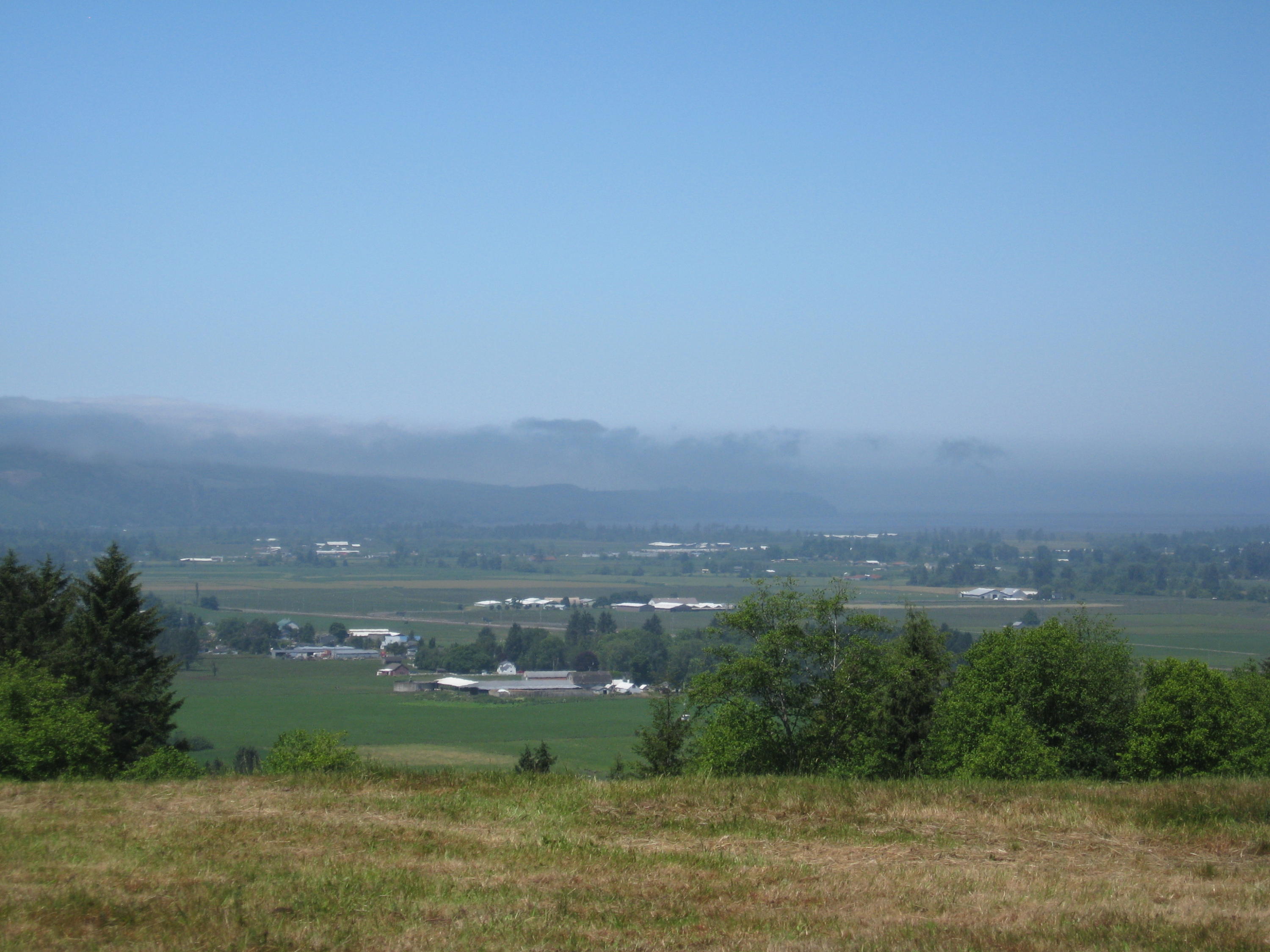 Lot Skyview Lot Skyview Road Tillamook, OR 97141 - Photo 1 of 20 004