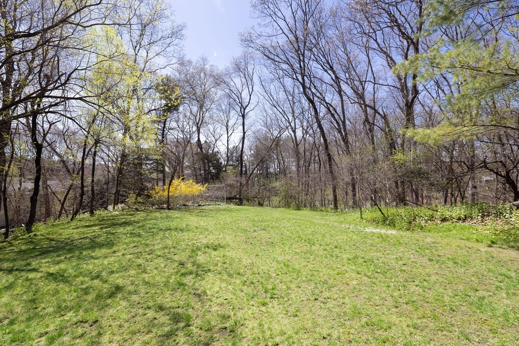 7 Clover Lane Natick, MA 01760 - Photo 36 of 41