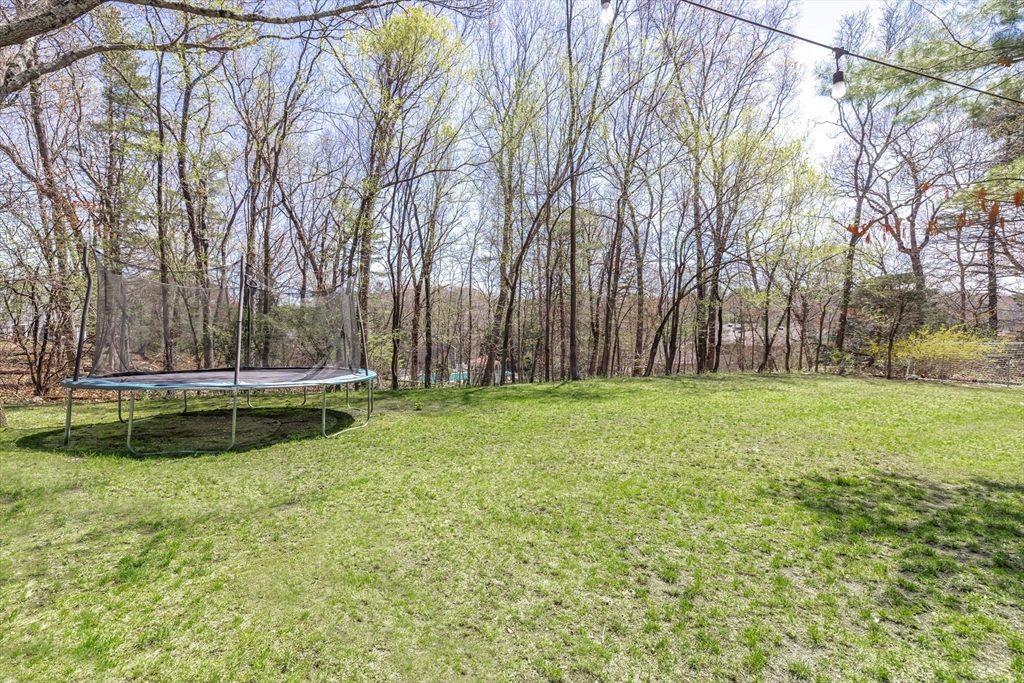 7 Clover Lane Natick, MA 01760 - Photo 37 of 41
