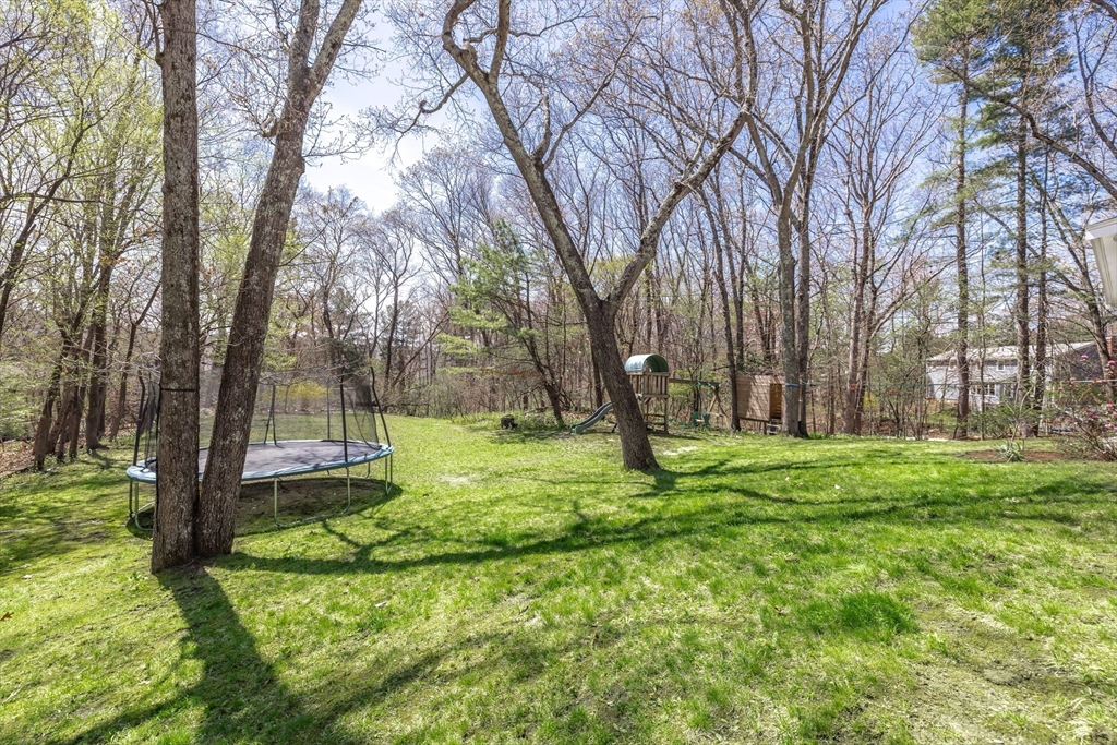 7 Clover Lane Natick, MA 01760 - Photo 38 of 41