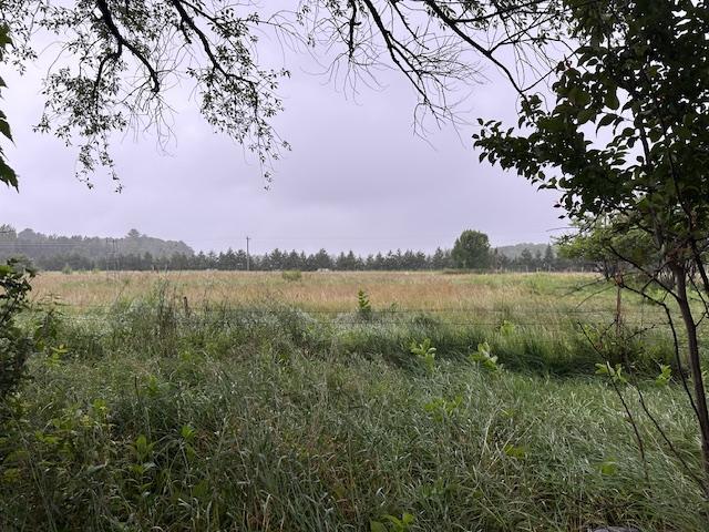 32752 County 16 Turtle Creek Cushing, MN 56443 - Photo 11 of 19