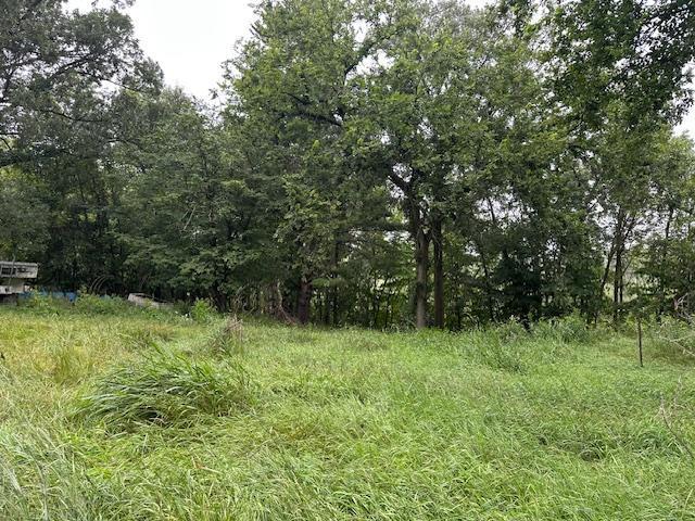 32752 County 16 Cushing, MN 56443 - Photo 10 of 19