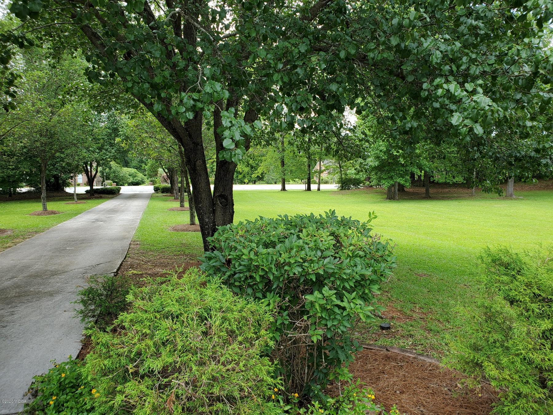 144 Gates Road Lizella, GA 31052 - Photo 6 of 44 a big yard with lots of green space and trees