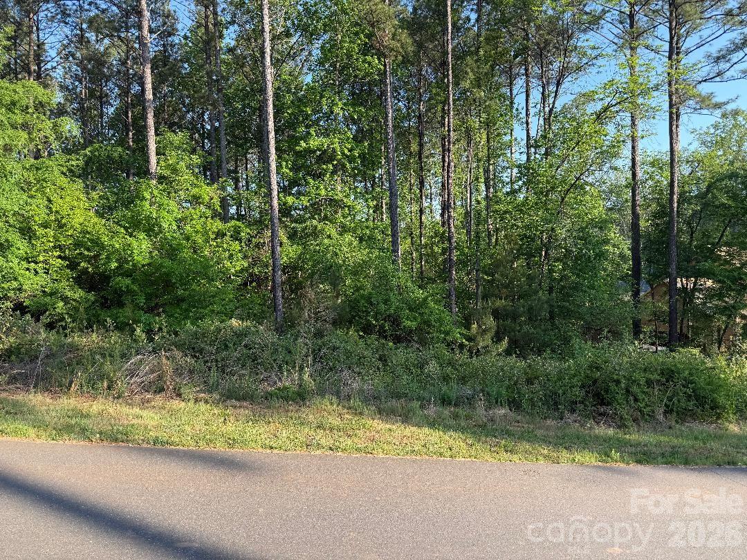 3249 Sherman Drive Lancaster, SC 29720 - Photo 1 of 29 a view of a yard with a tree