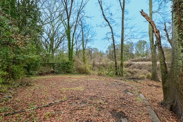 a view of a yard with trees