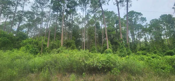 $8,000 | 220 2nd Street, Georgetown, FL 32139