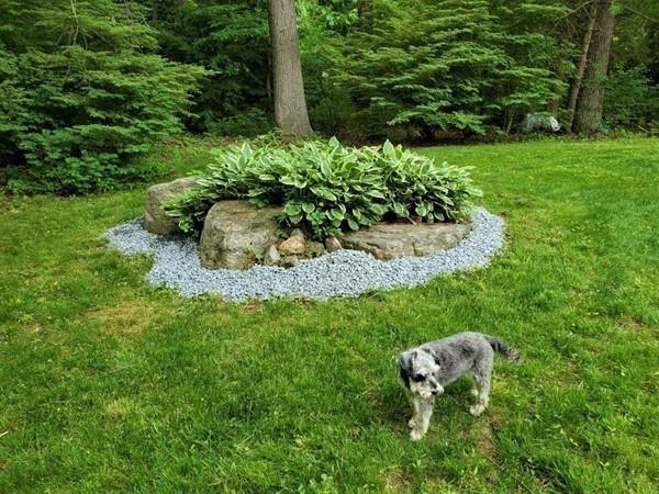 8 Deacon Benham Road Stow, MA 01775 - Photo 8 of 30