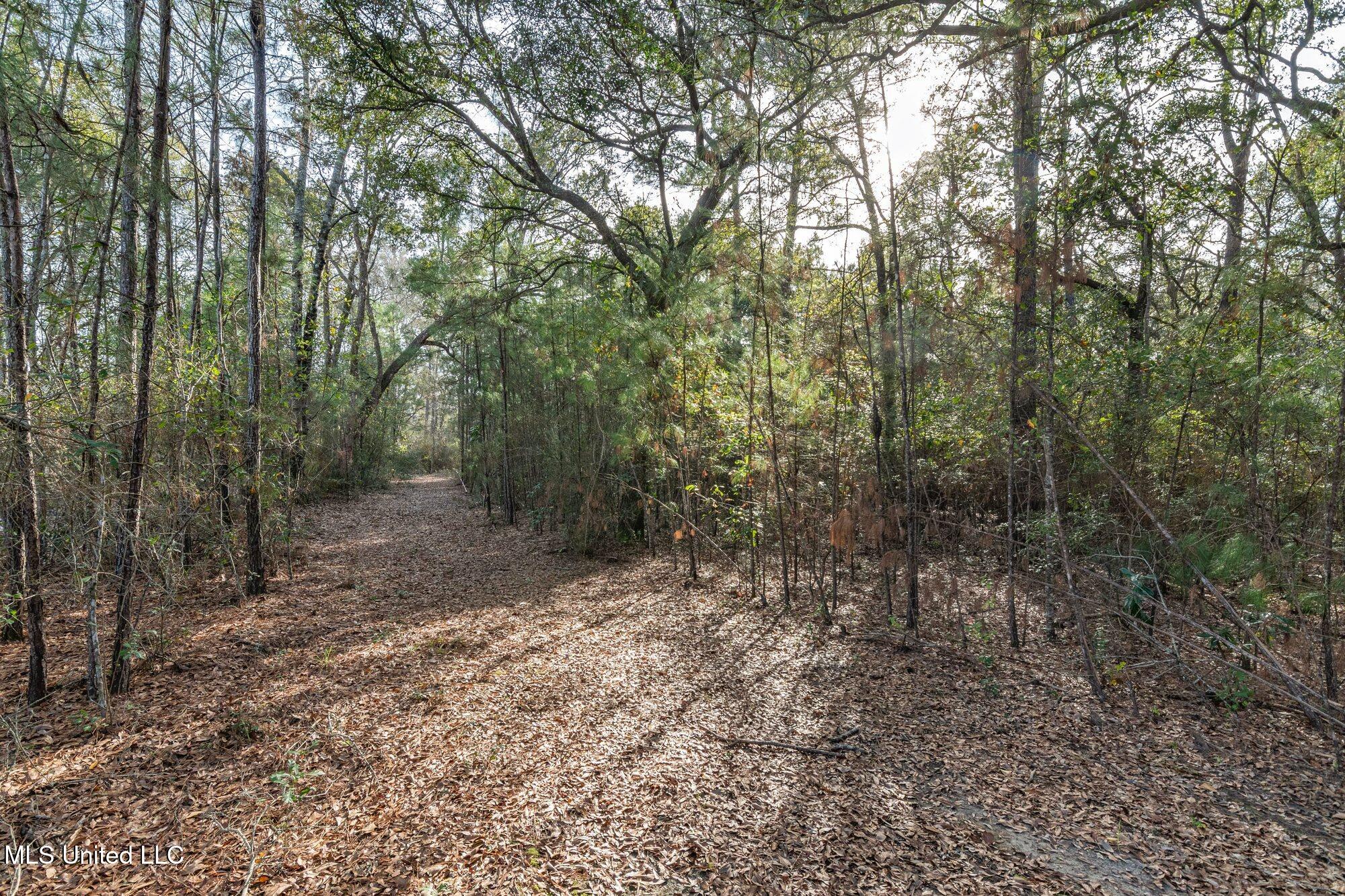 0 Peapatch Road Biloxi, MS 39532 - Photo 11 of 21 00 Peapatch Rd