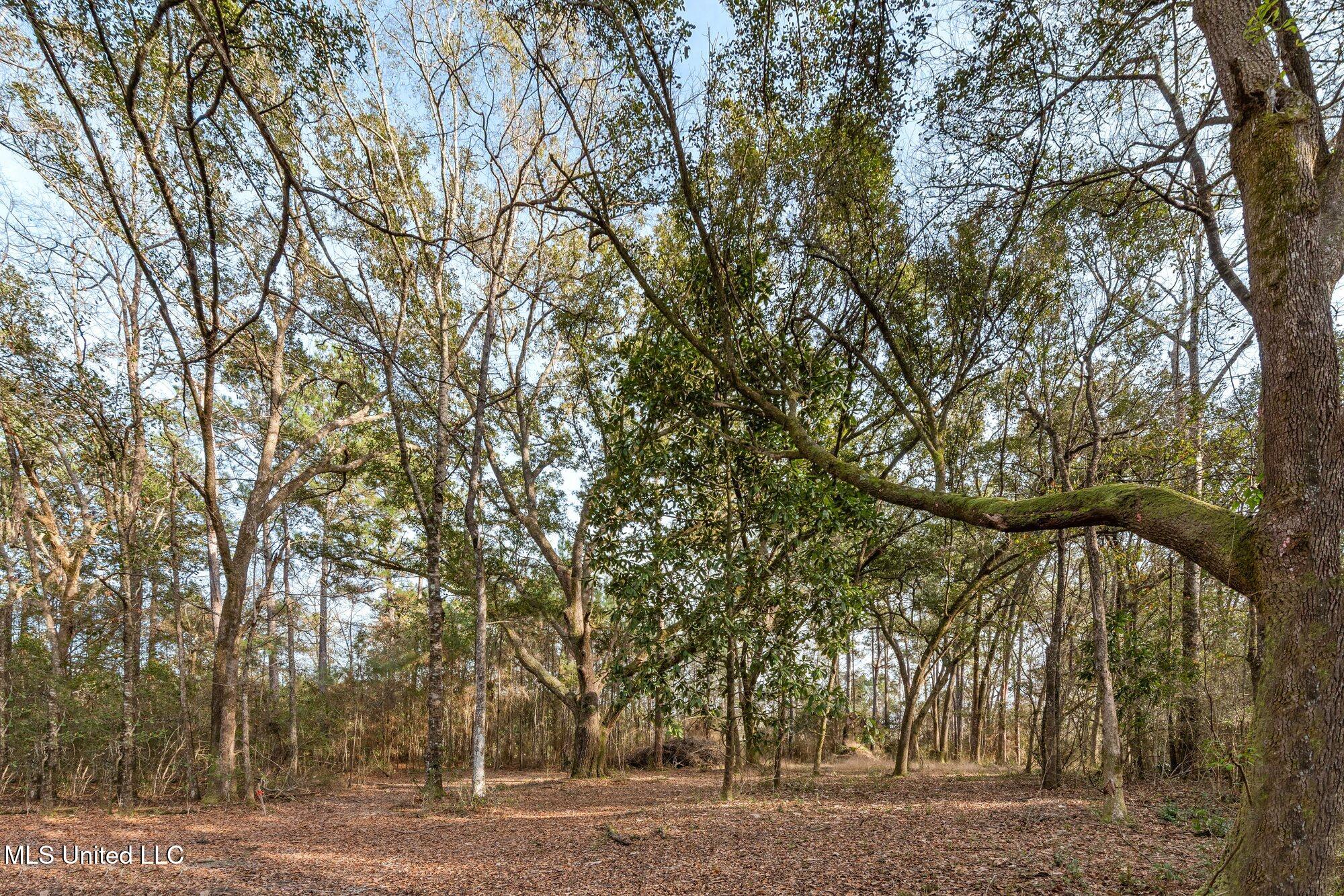 0 Peapatch Road Biloxi, MS 39532 - Photo 12 of 21 00 Peapatch Rd