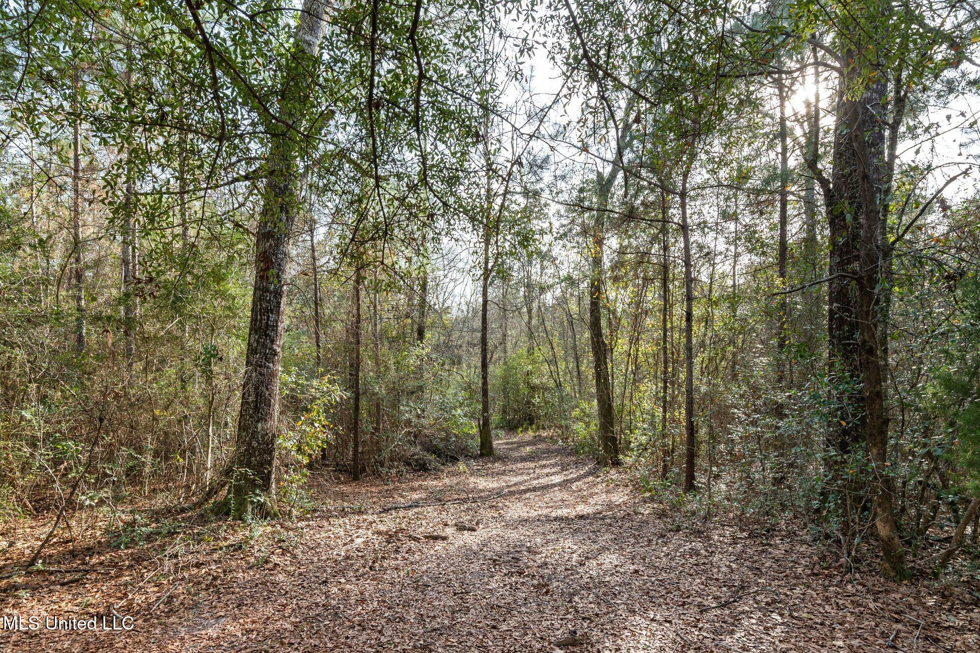 0 Peapatch Road Biloxi, MS 39532 - Photo 14 of 21 00 Peapatch Rd