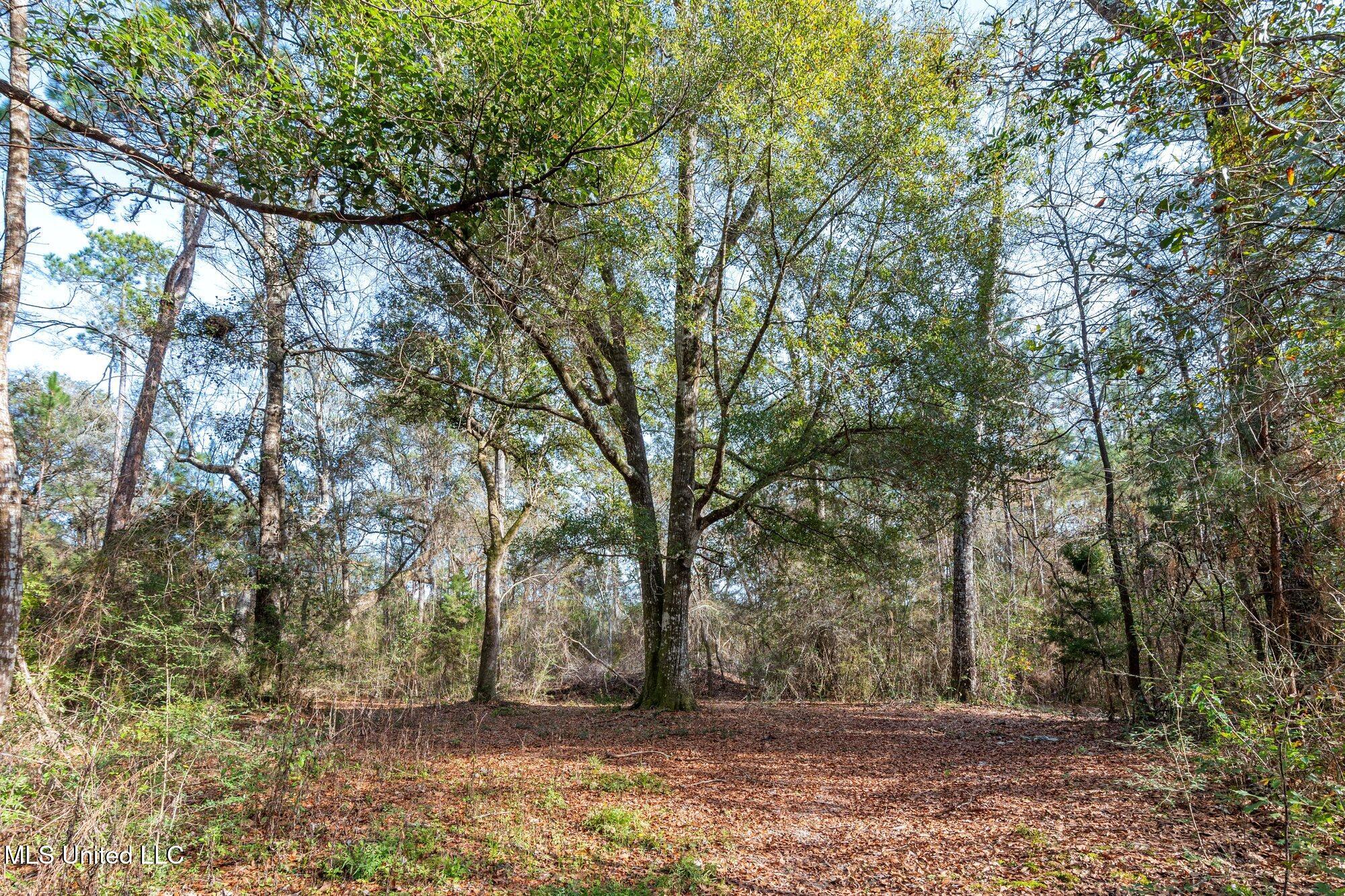 0 Peapatch Road Biloxi, MS 39532 - Photo 15 of 21 00 Peapatch Rd