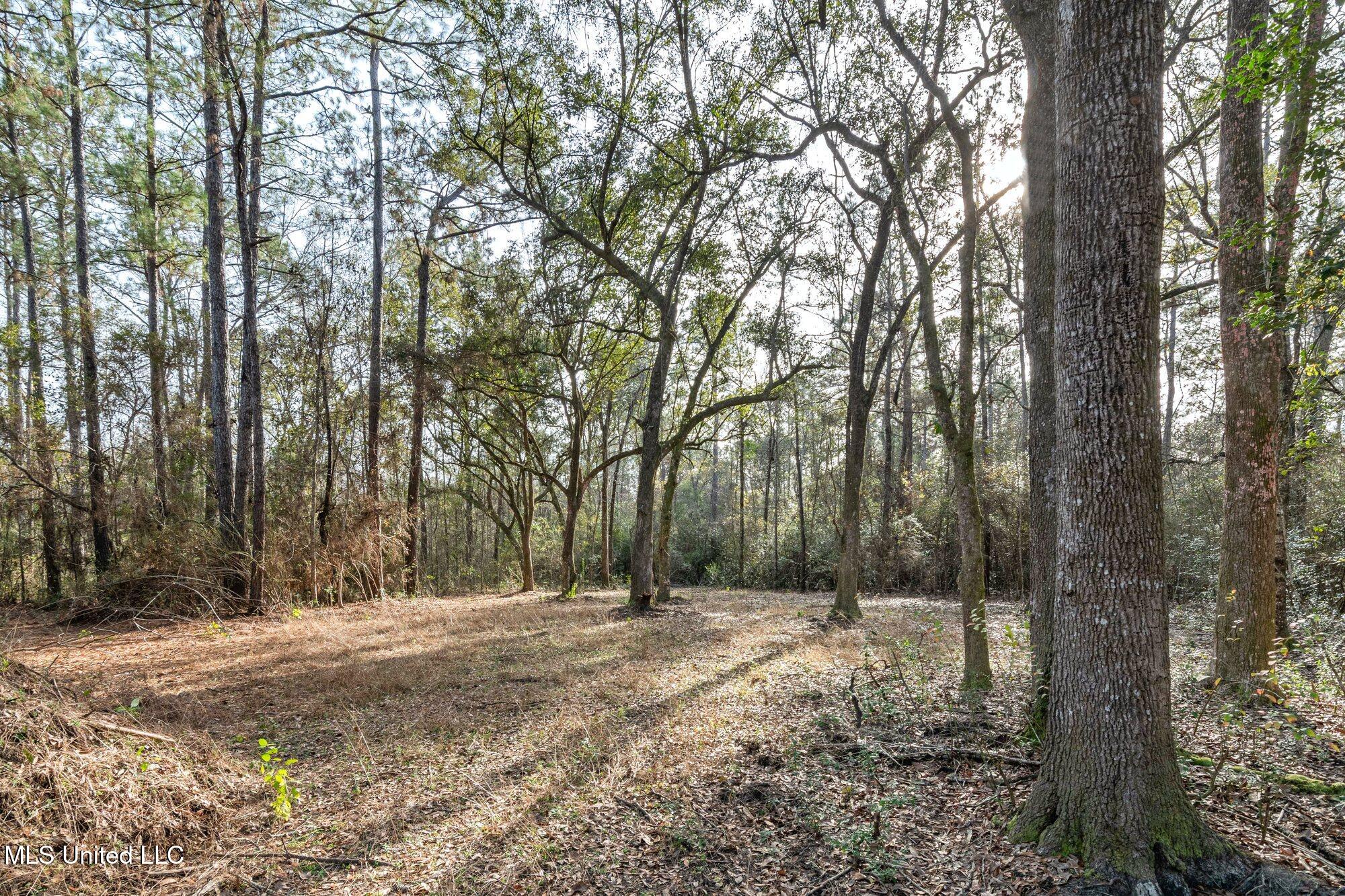 0 Peapatch Road Biloxi, MS 39532 - Photo 16 of 21 00 Peapatch Rd