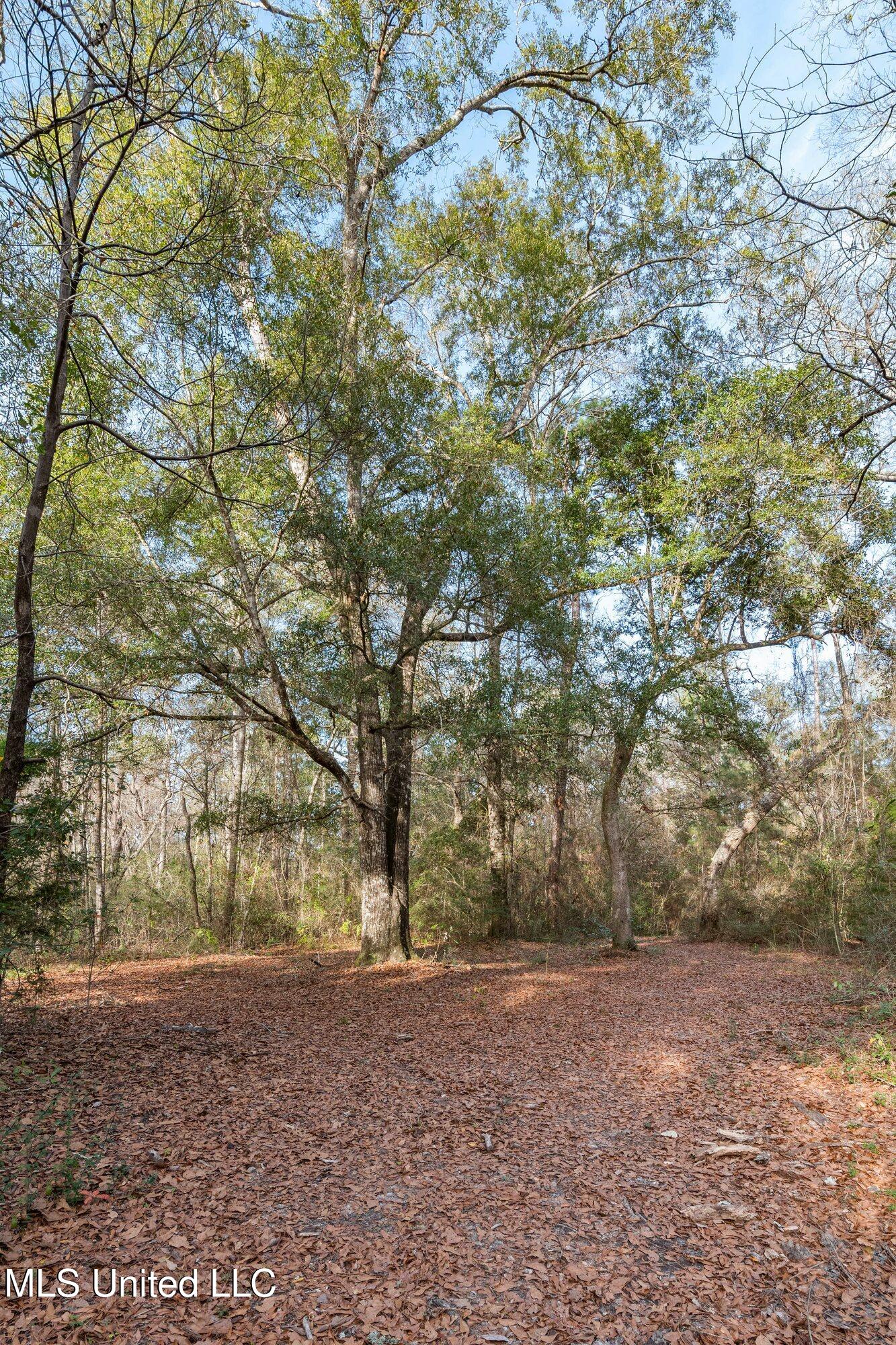 0 Peapatch Road Biloxi, MS 39532 - Photo 17 of 21 00 Peapatch Rd