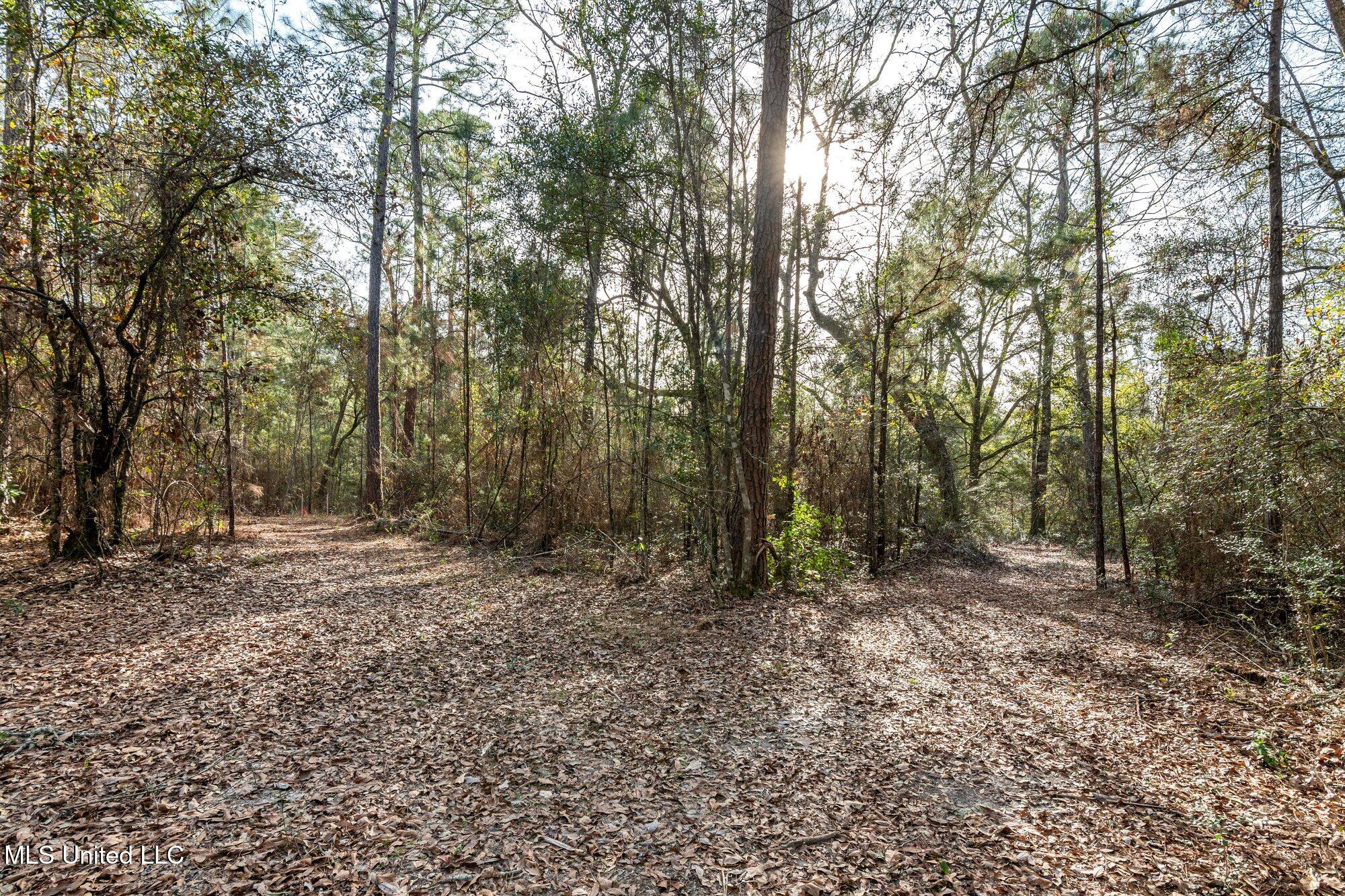 0 Peapatch Road Biloxi, MS 39532 - Photo 18 of 21 00 Peapatch Rd