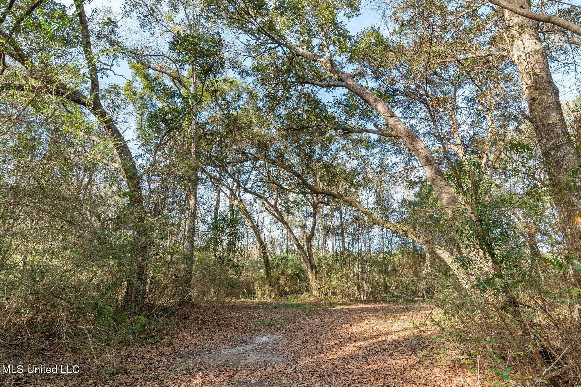0 Peapatch Road Biloxi, MS 39532 - Photo 19 of 21 00 Peapatch Rd