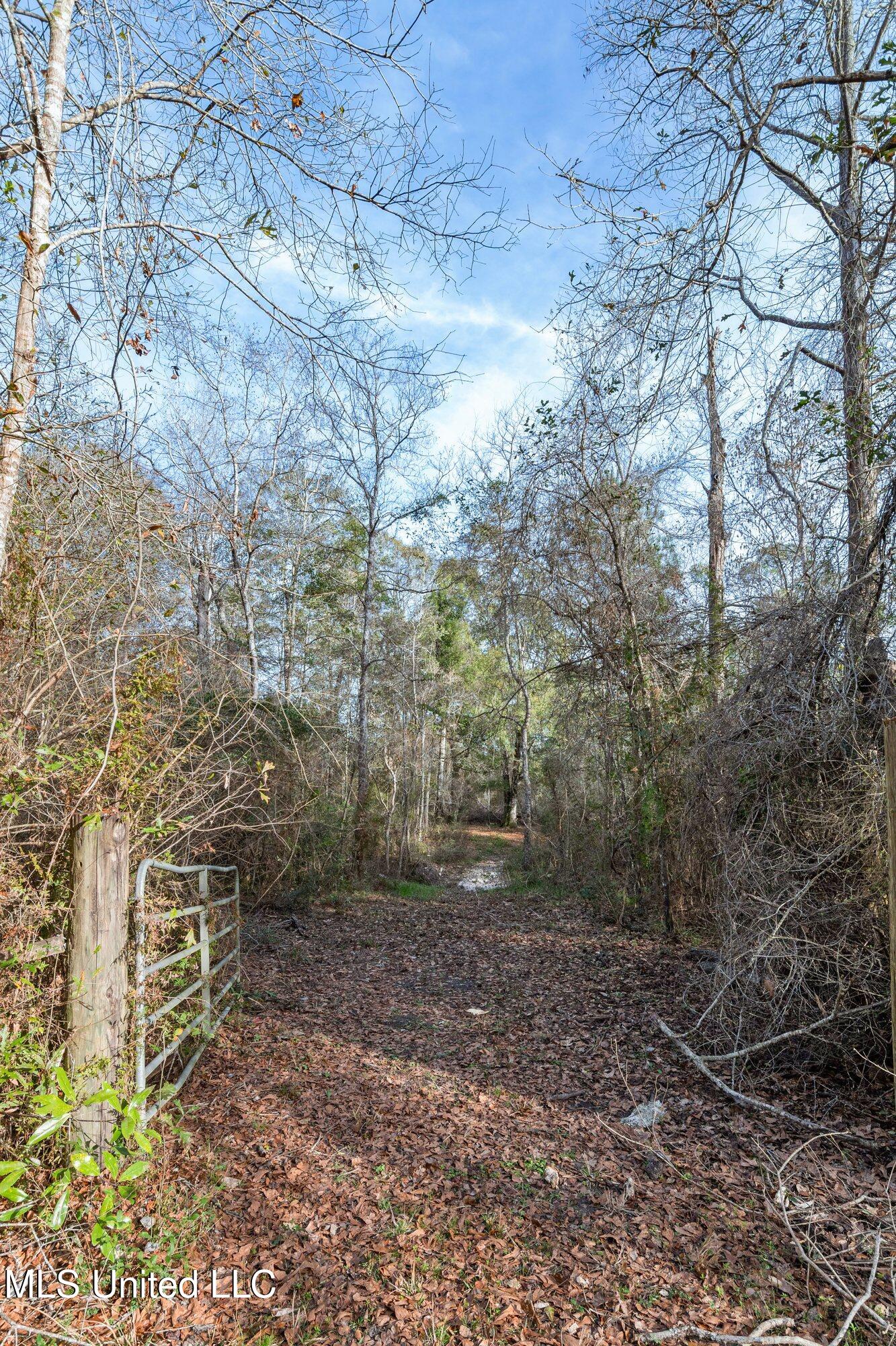 0 Peapatch Road Biloxi, MS 39532 - Photo 2 of 21 00 Peapatch Rd