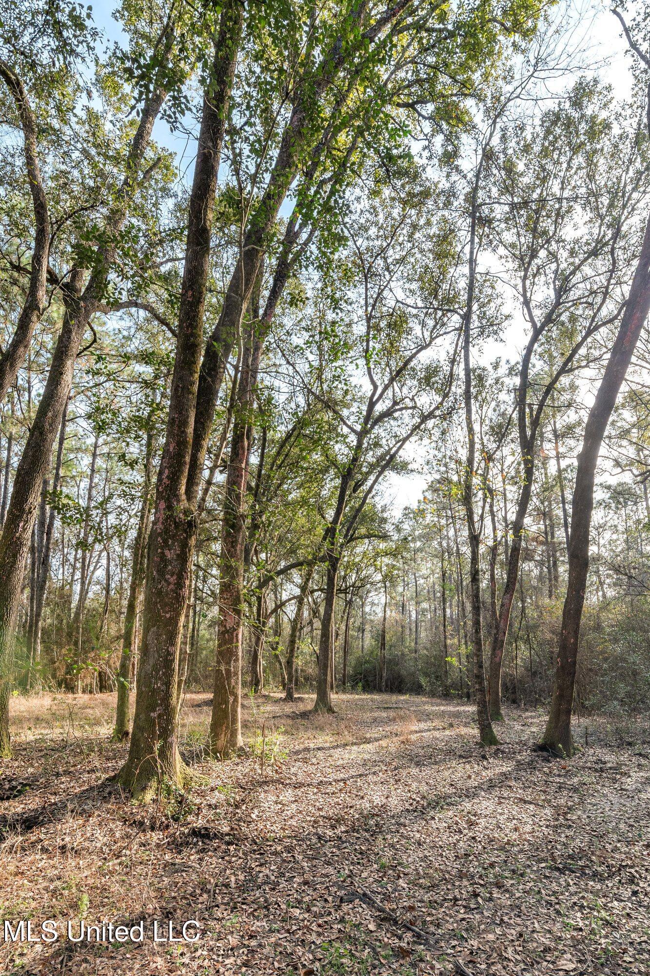 0 Peapatch Road Biloxi, MS 39532 - Photo 6 of 21 00 Peapatch Rd