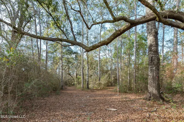 $390,000 | 0 Peapatch Road, Biloxi, MS 39532