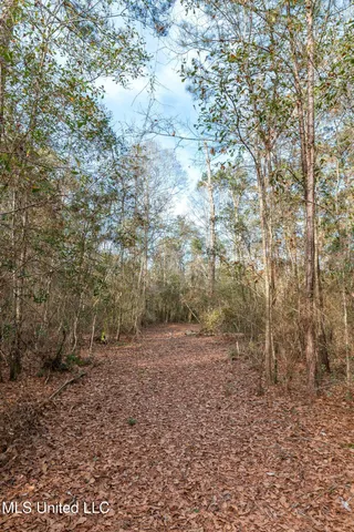 $390,000 | 0 Peapatch Road, Biloxi, MS 39532