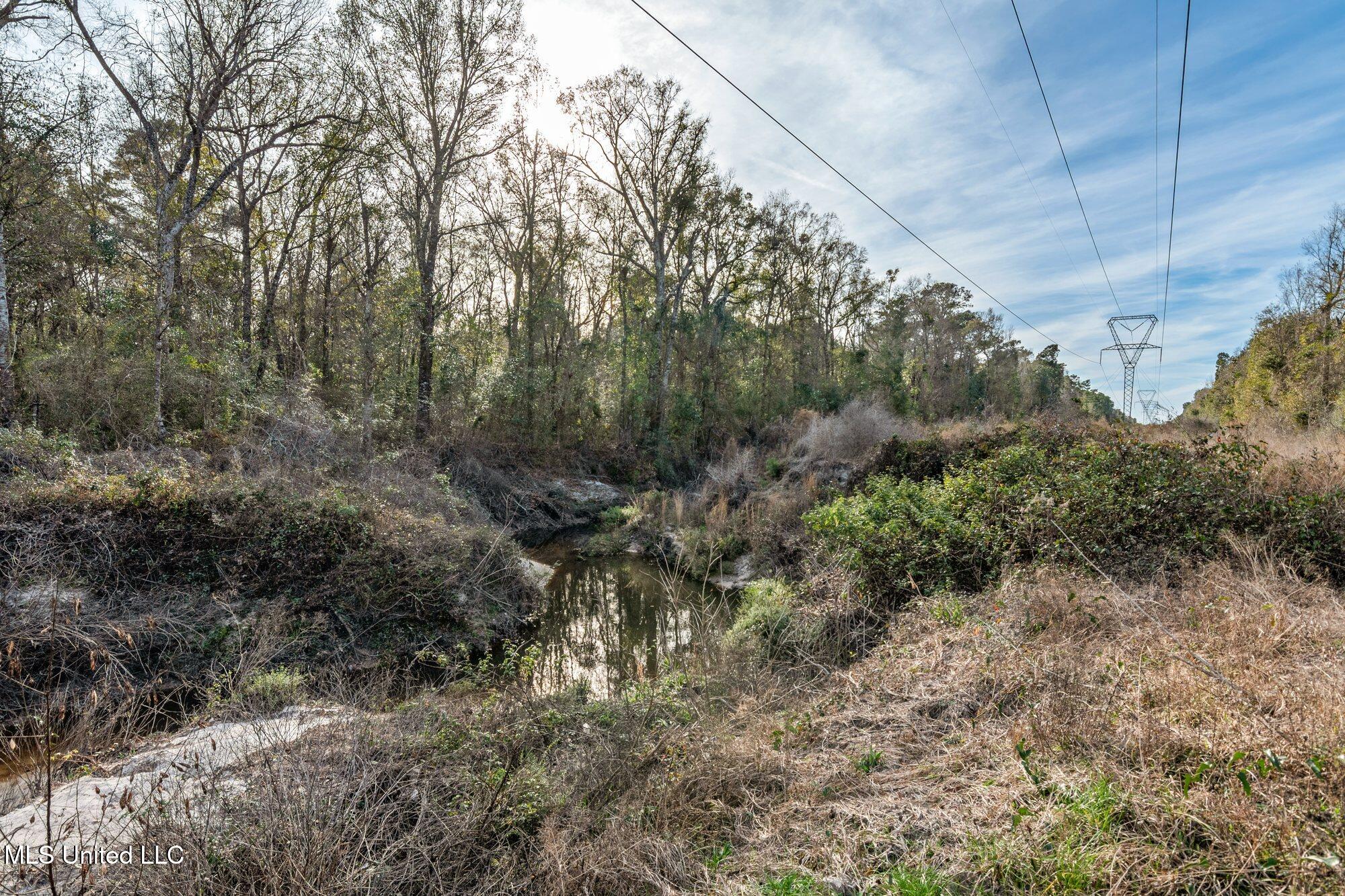 0 Peapatch Road Biloxi, MS 39532 - Photo 9 of 21 00 Peapatch Rd