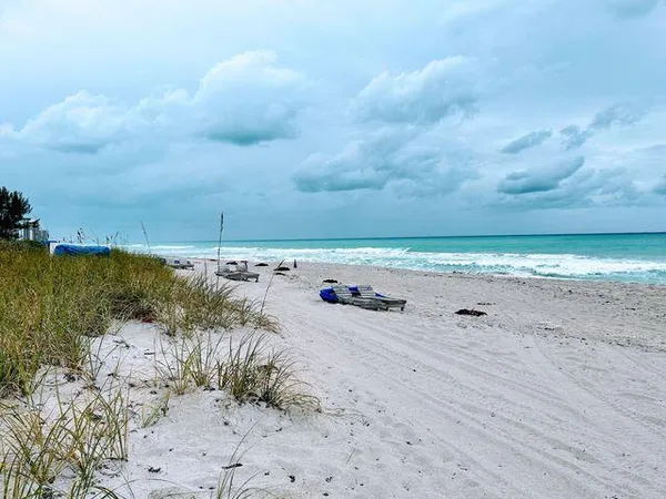 a view of beach and ocean