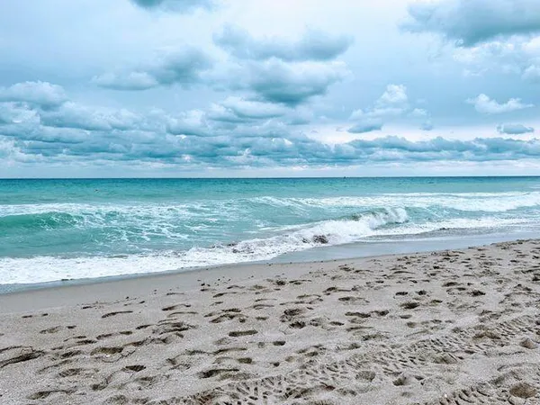 a view of beach and ocean