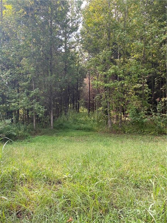 9-ac Burree Road Clover, SC 29710 - Photo 1 of 29 a backyard of a house with lots of green space and fountain