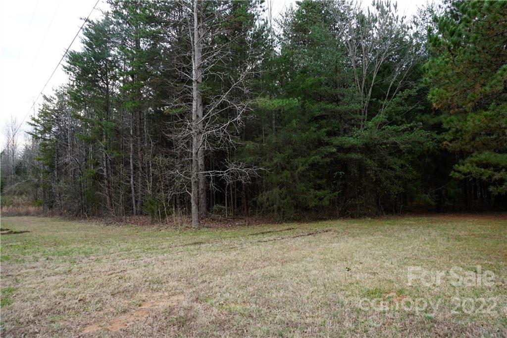 9-ac Burree Road Clover, SC 29710 - Photo 11 of 29 a view of outdoor space and yard