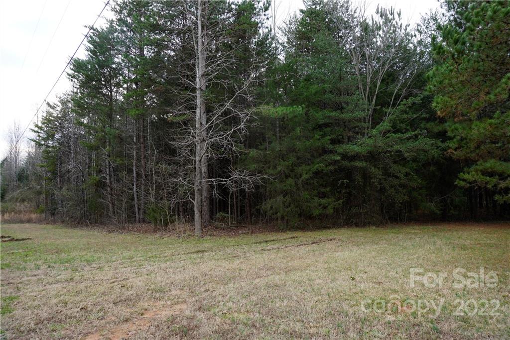 9-ac Burree Road Clover, SC 29710 - Photo 12 of 29 a view of backyard with green space
