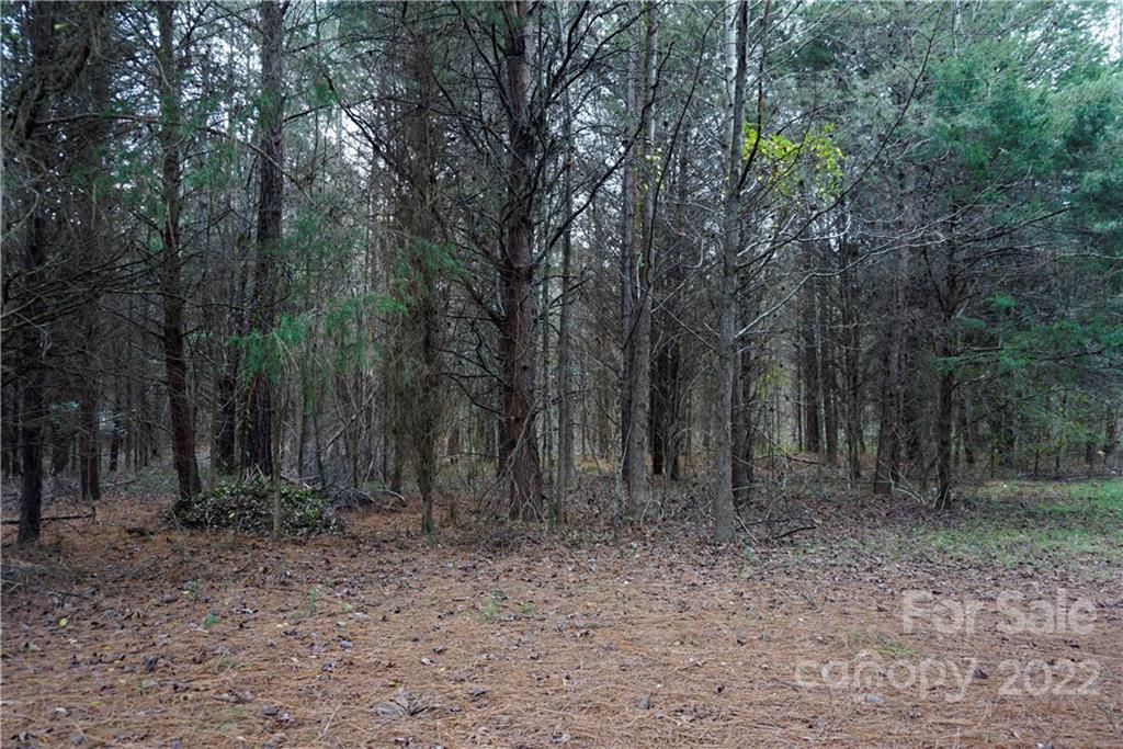 9-ac Burree Road Clover, SC 29710 - Photo 14 of 29 a view of outdoor space with green space