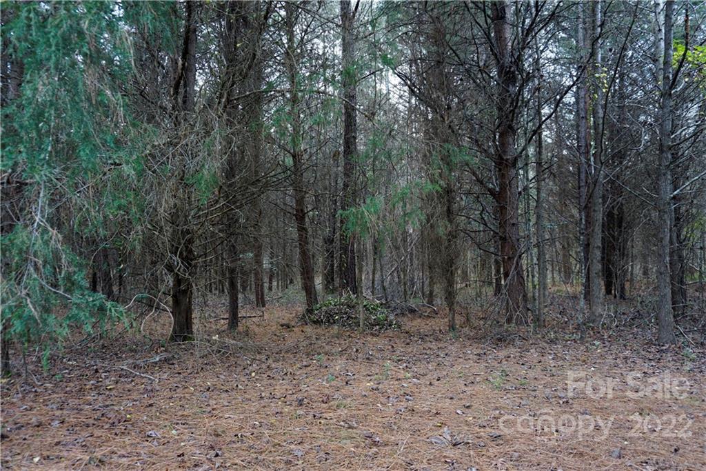 9-ac Burree Road Clover, SC 29710 - Photo 15 of 29 a view of a forest