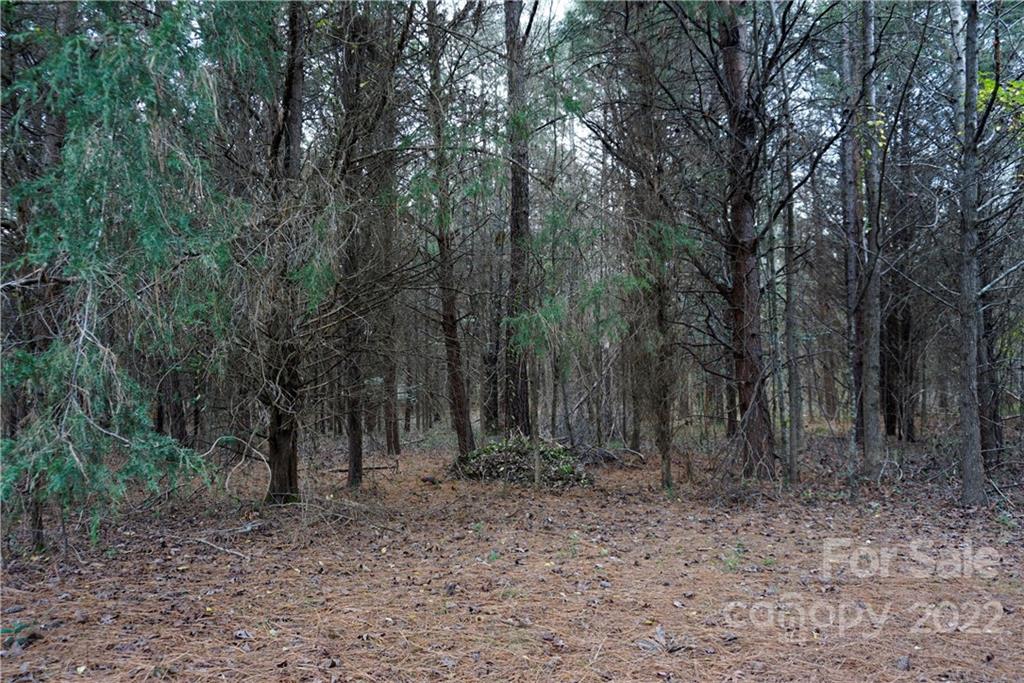 9-ac Burree Road Clover, SC 29710 - Photo 16 of 29 a view of a forest filled with trees