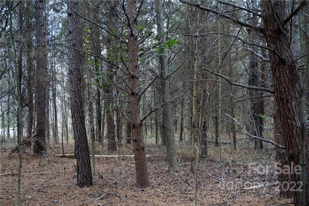 9-ac Burree Road Clover, SC 29710 - Photo 18 of 29 a backyard of a house with lots of green space