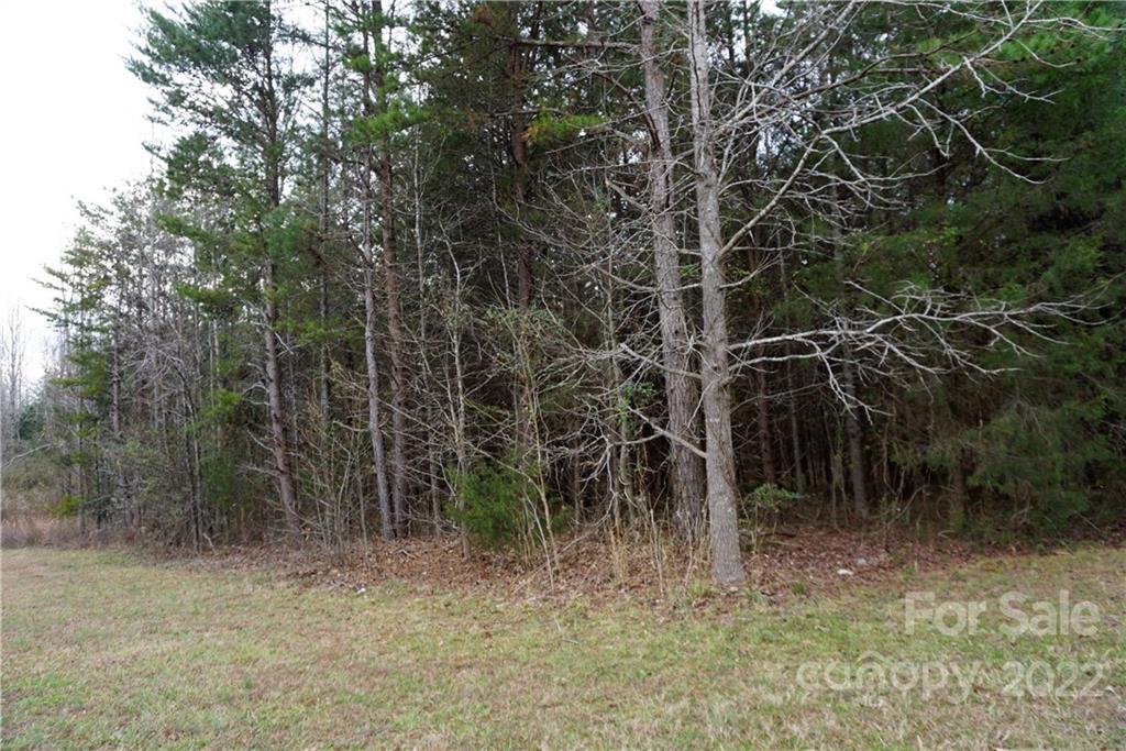 9-ac Burree Road Clover, SC 29710 - Photo 19 of 29 a view of a forest