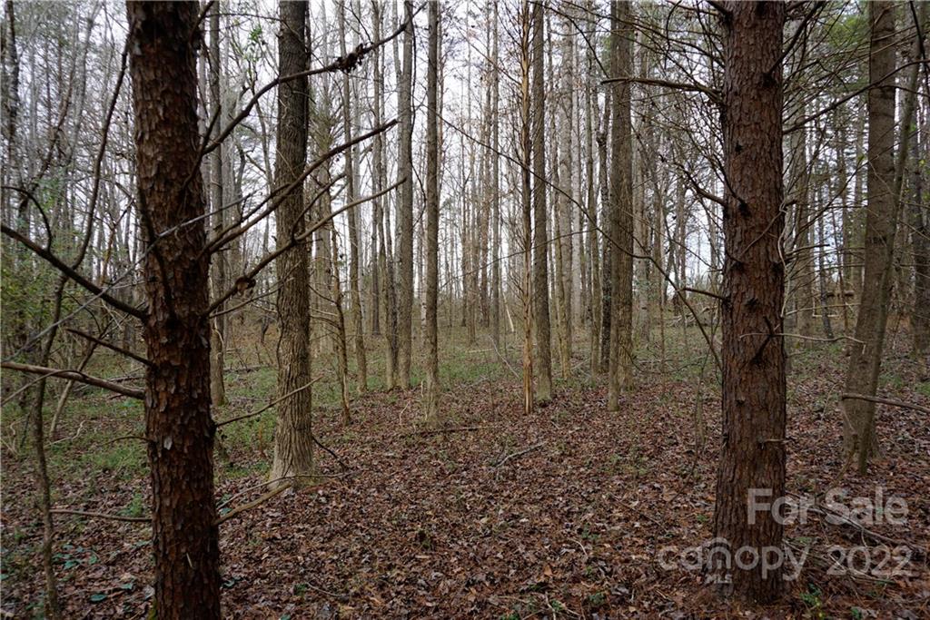 9-ac Burree Road Clover, SC 29710 - Photo 2 of 29