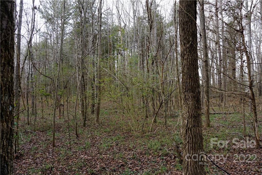 9-ac Burree Road Clover, SC 29710 - Photo 21 of 29 a view of a shower
