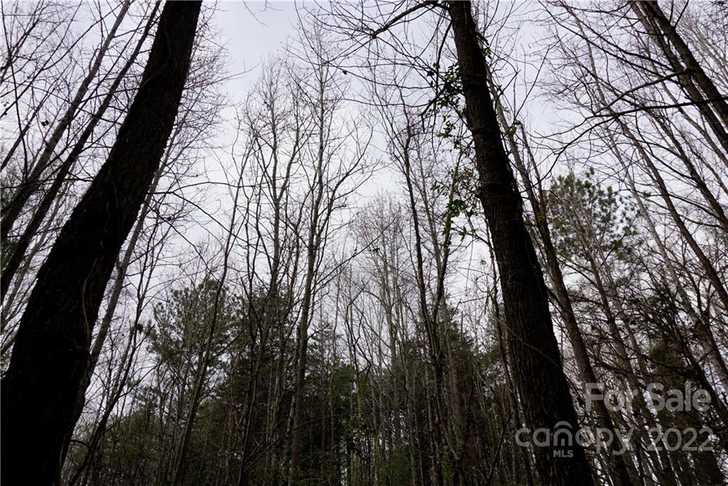 9-ac Burree Road Clover, SC 29710 - Photo 22 of 29
